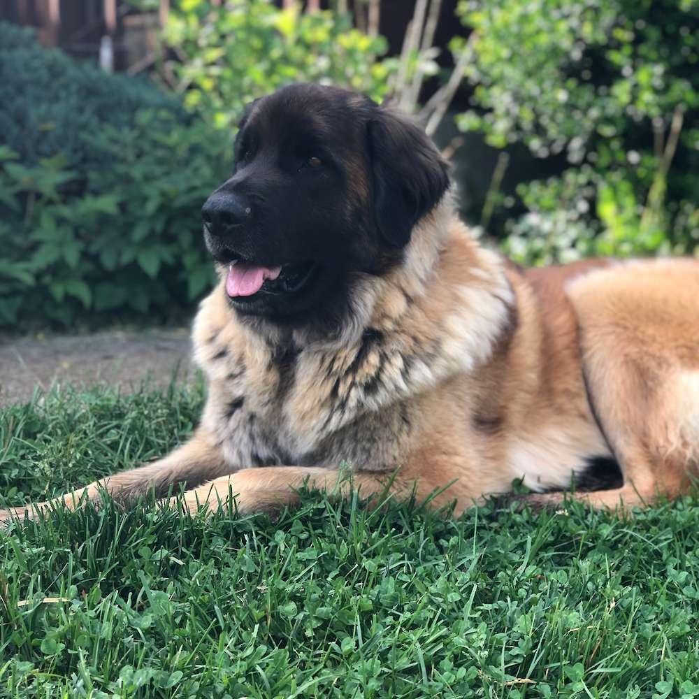 Bonnie