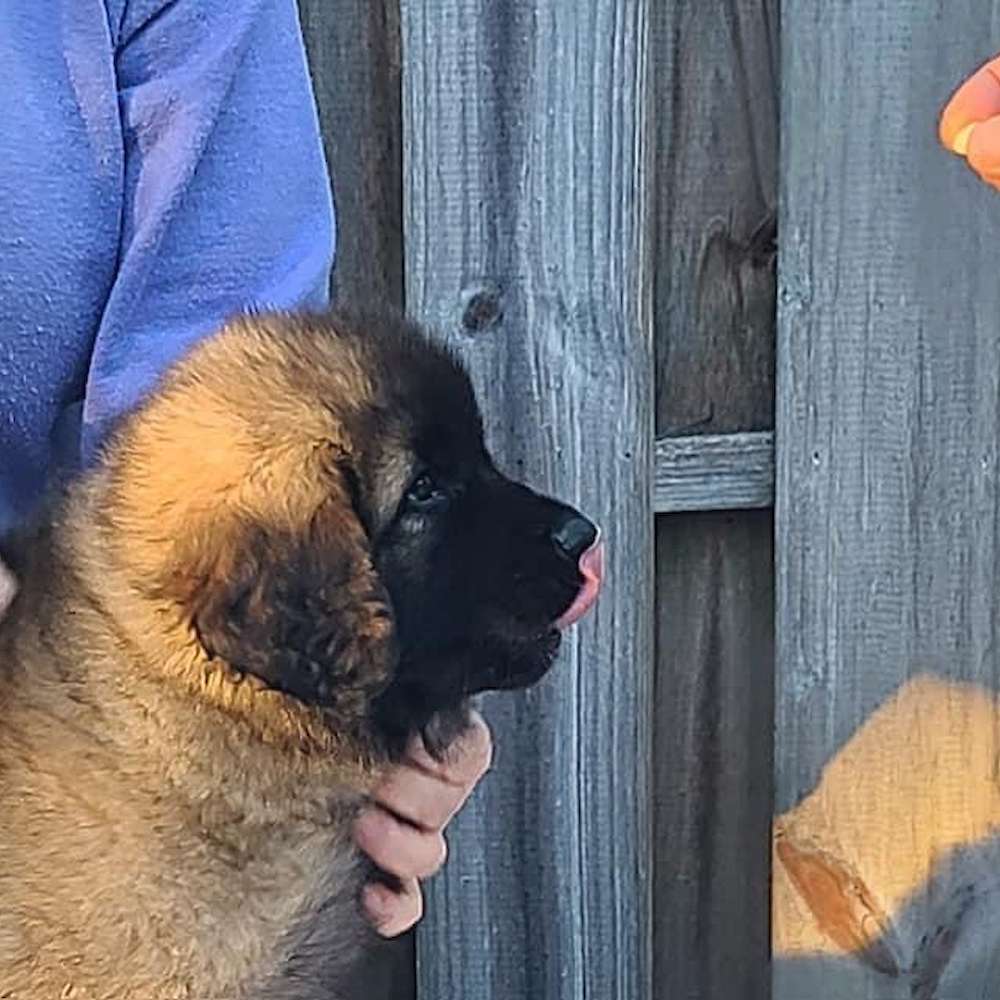 Teal girl