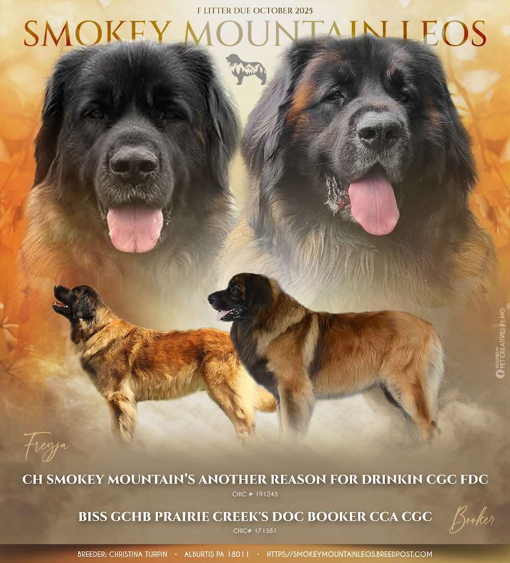F Litter due Oct 2025!