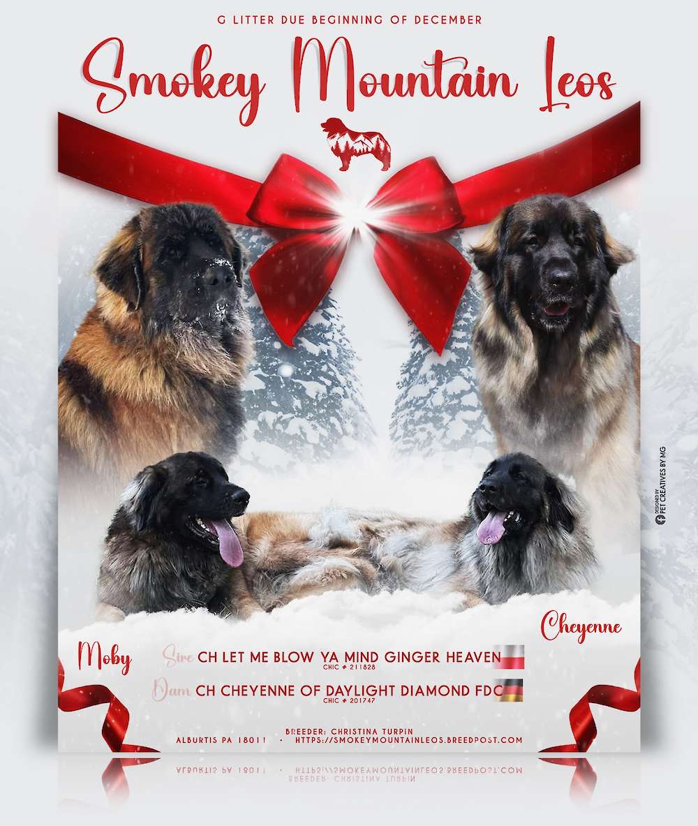 G litter arriving Dec 2025!!